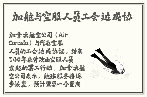 在线观看的资源视频